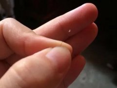 科普|自动掉落的头发能做亲子鉴定吗