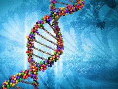独特DNA技术揭开谜团：亲子鉴定帮助寻找失散多年的亲人