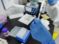 打破谣言蜚语：亲子鉴定揭露“真假亲情”之谜！