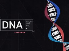 悬疑复杂家庭网络：DNA测试如何揭示隐藏的联系