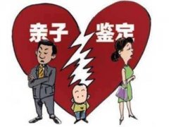 亲子鉴定的社会影响：家庭、法律与社会层面的观察