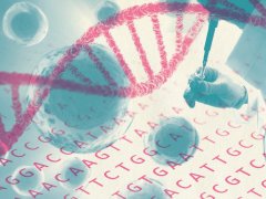 亲子鉴定：从怀疑到信任的科学之旅