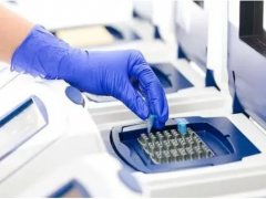 合肥亲子鉴定的费用详解：哪些因素影响鉴定成本