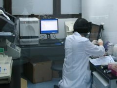合肥亲子鉴定误区与真相：你应该知道的十个事实