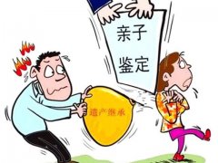 合肥亲子鉴定助力遗产继承纠纷解决，DNA证据成关键
