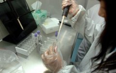 合肥亲子鉴定适用人群详解：哪些情况需要进行亲子鉴定？