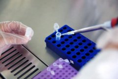 合肥亲子鉴定的准确率与安全性：你需要了解的关键点