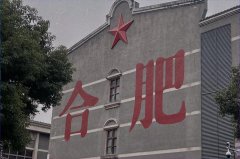 合肥隐私亲子鉴定？费用+流程全解析！在线咨询预约更便捷