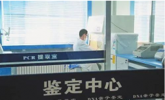 从咨询到报告：在合肥完成亲子鉴定的完整经验分享