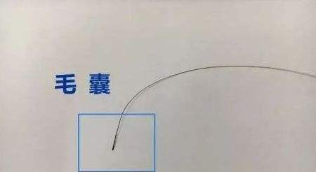一根头发能验亲？探秘合肥DNA鉴定的“超能力”样本世界