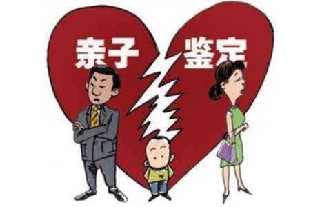 一次鉴定，双重答案？合肥专家解读亲子报告中的“是”与“非”