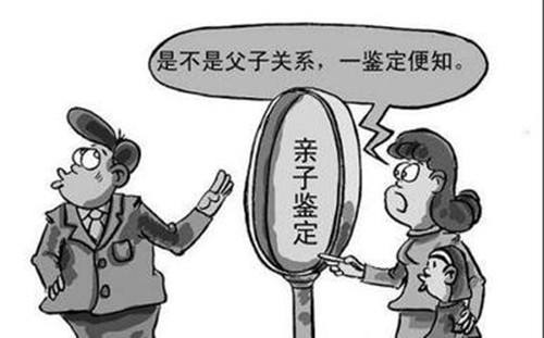超越怀疑：一份合肥亲子鉴定报告所能守护的与不能衡量的