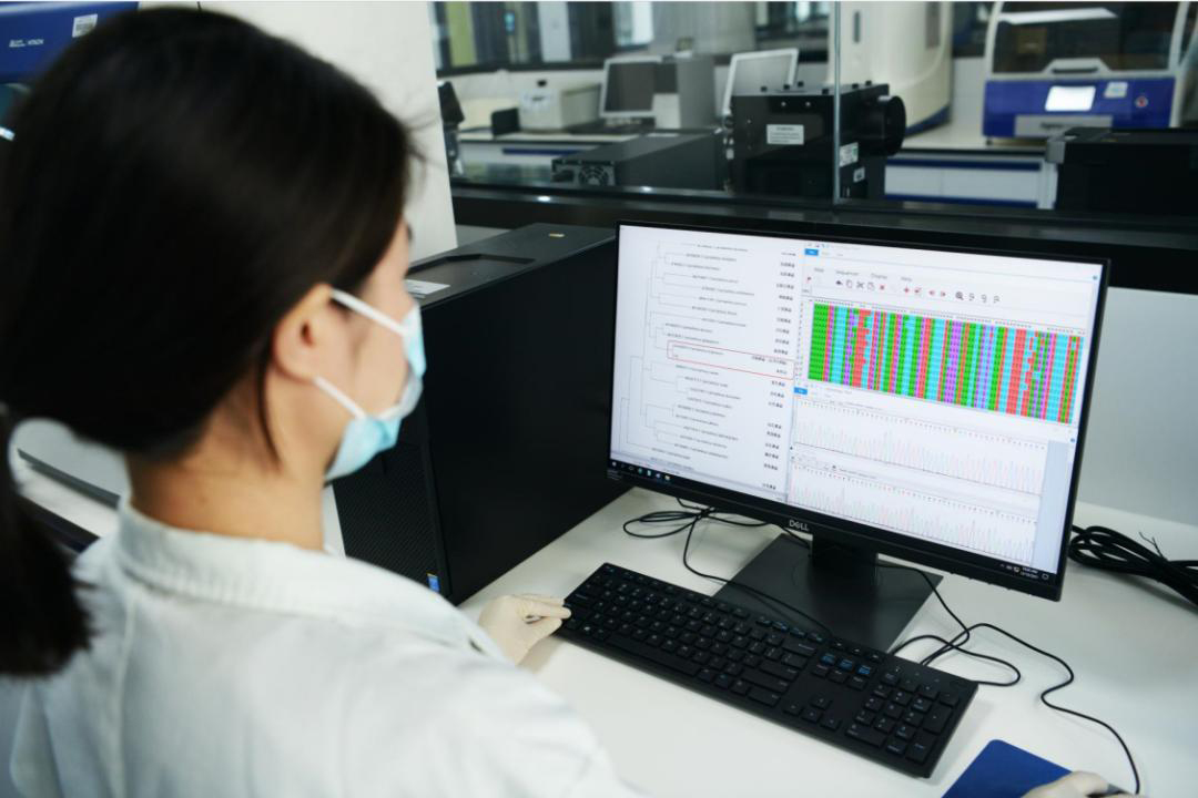 在合肥做亲子鉴定需要多少钱？2025年最新费用明细一览