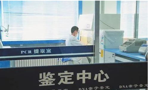 从咨询到报告：在合肥完成亲子鉴定的完整经验分享